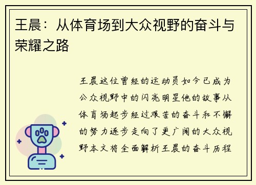 王晨：从体育场到大众视野的奋斗与荣耀之路